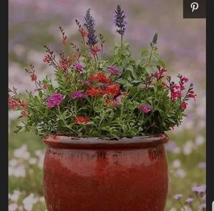 Meet your Posher, Cyndi